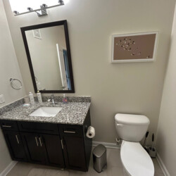 Modern bathroom with granite countertop, dark wood vanity, toilet, wall art of birds, and bright overhead lighting.