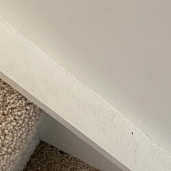 Screenshot Close-up of a carpeted stair meeting a white painted wall with some visible dust and dirt along the edge.